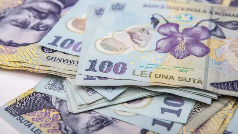 Femeie de afaceri din București, acuzată de fraude cu combustibil de 9 milioane de lei