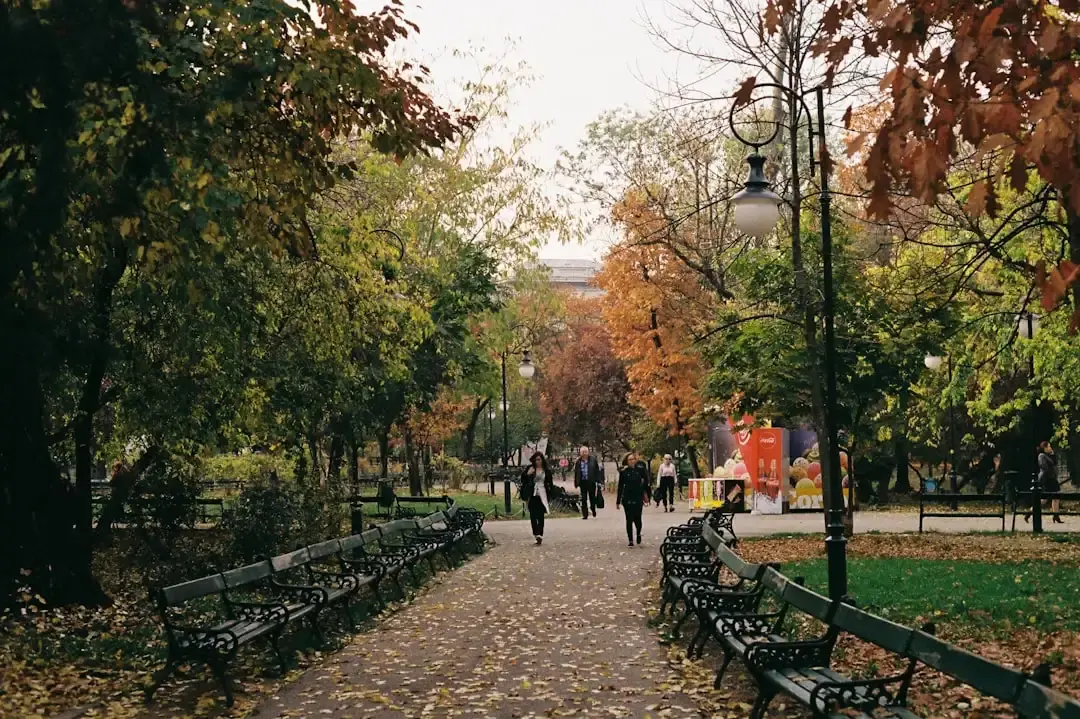 Percheziții în București pentru delapidare de 1,35 milioane de lei
