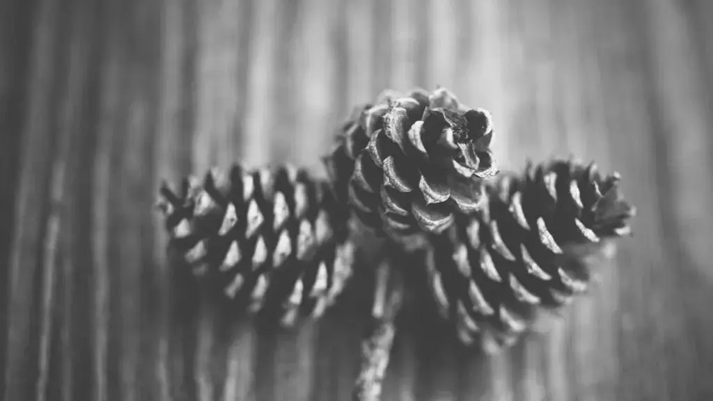 Peste 600 de profesori au participat la atelierele de educație financiară