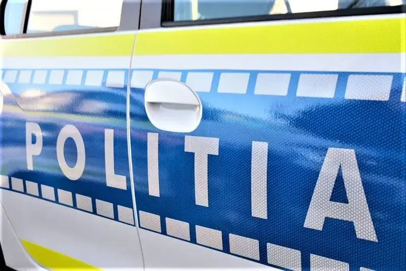 Un copil din Hunedoara a asmuțit un câine asupra unei pisici. Animalul a murit